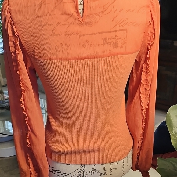 Sam Edelman Orange Ribbed Ruffled Long Sleeve Blouse - Picture 4 of 6